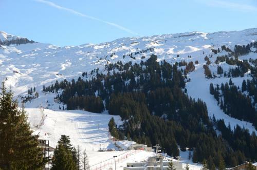 Apartamento Appartement Flaine For�t
