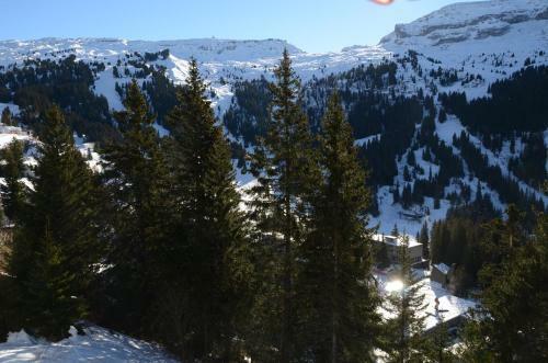 Apartamento Appartement Flaine For�t