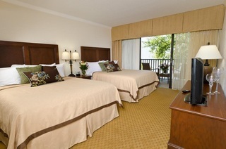 Hotel Coconut Cove Suites