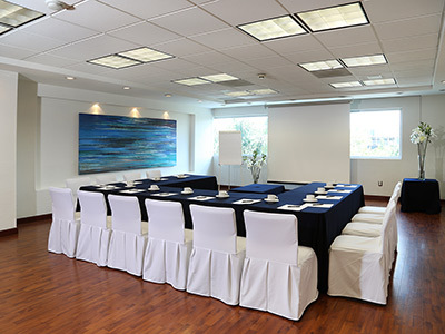Hotel Meson Ejecutivo