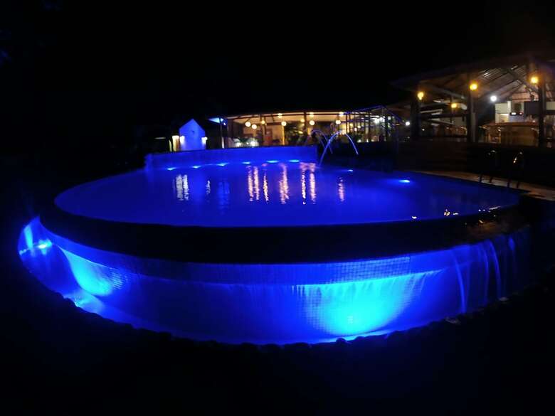 Hotel Whales  And  Dolphins