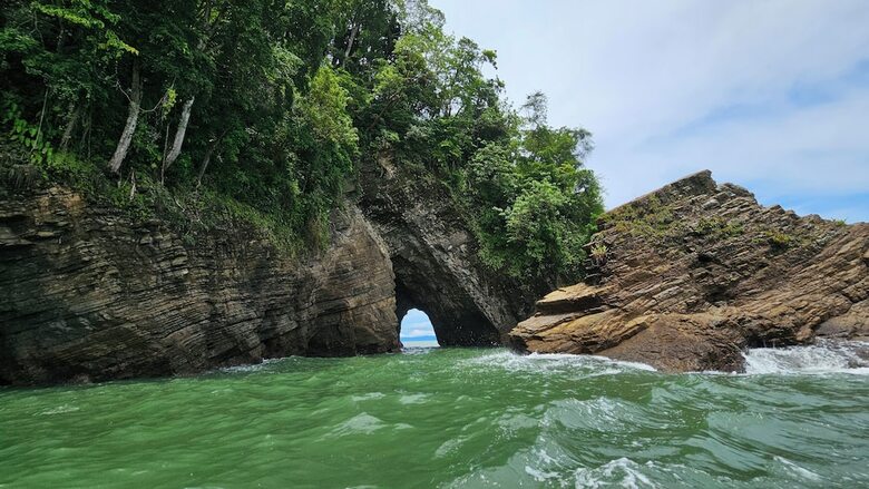 Hotel Whales  And  Dolphins