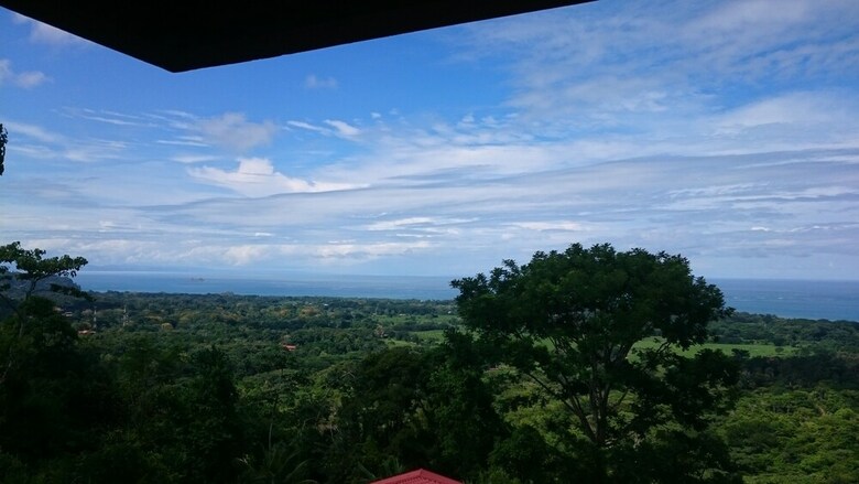 Hotel Whales  And  Dolphins