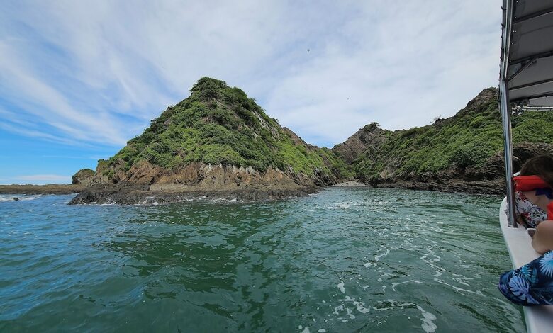 Hotel Whales  And  Dolphins