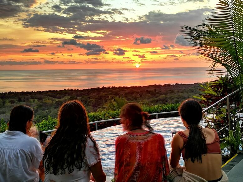 Hotel Whales  And  Dolphins