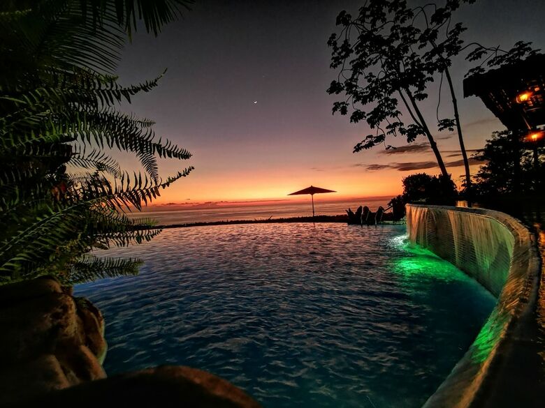 Hotel Whales  And  Dolphins