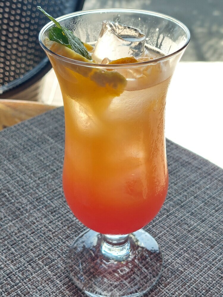 Hotel Whales  And  Dolphins