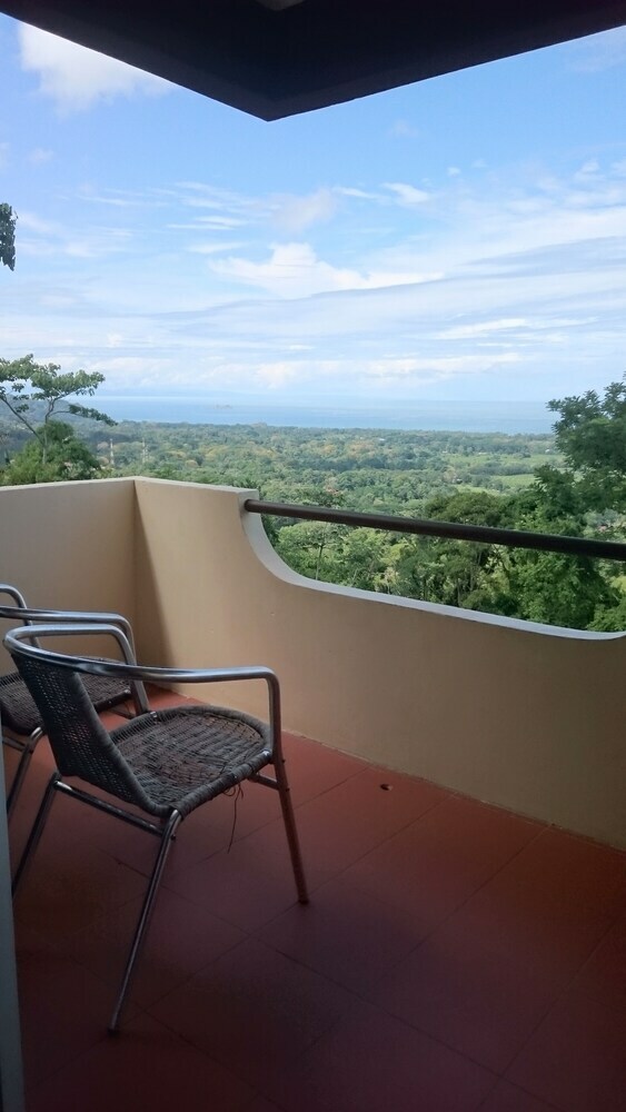 Hotel Whales  And  Dolphins