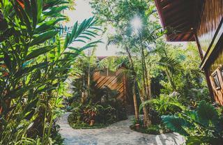 Hotel Tambor Tropical