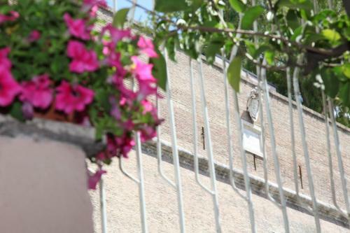 Bed & Breakfast Vaticano84