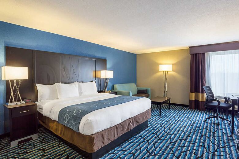 Hotel Comfort Suites University