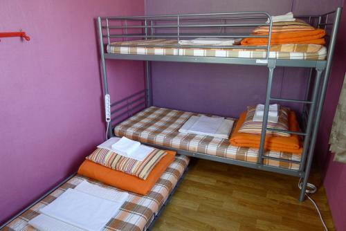 The House Hostel