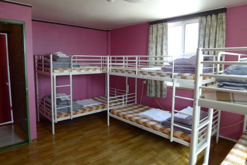 The House Hostel