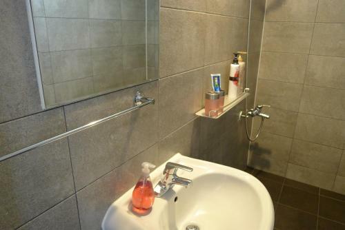 The House Hostel