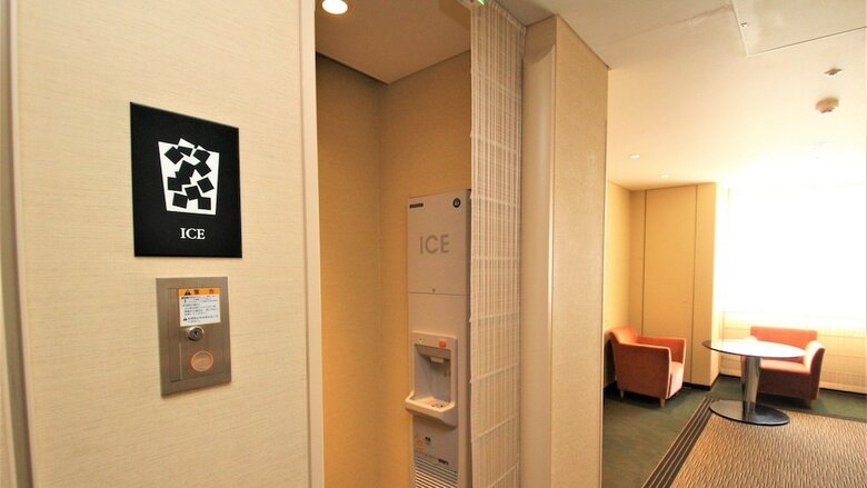 Hotel Ana Holiday Inn Sendai