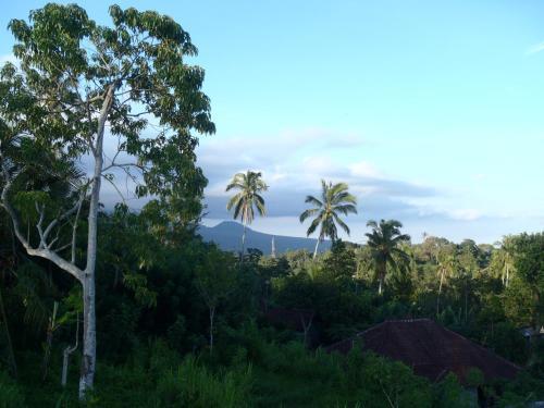 Salacca Inn