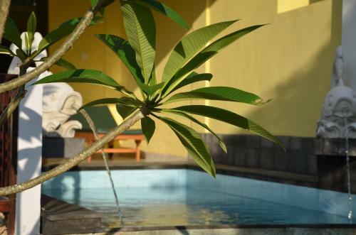 Tamarind Beach Bungalow