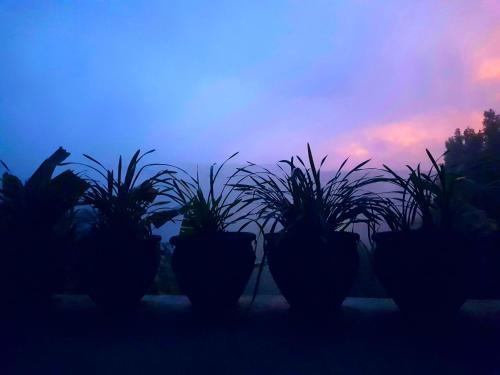 Bed & Breakfast Don Biyu