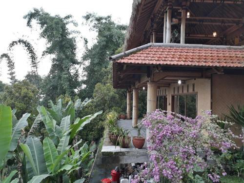 Bed & Breakfast Don Biyu