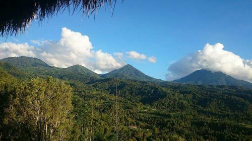Bed & Breakfast Don Biyu