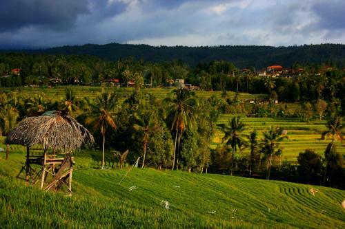 Melanting Cottages