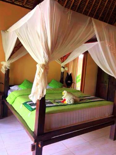 Hostal Mushroom Garden Villas