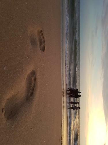 Kizhunnarocks Beach Resort