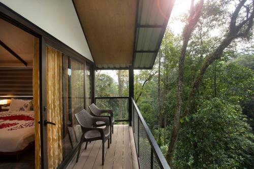 Hotel Bamboo Dale