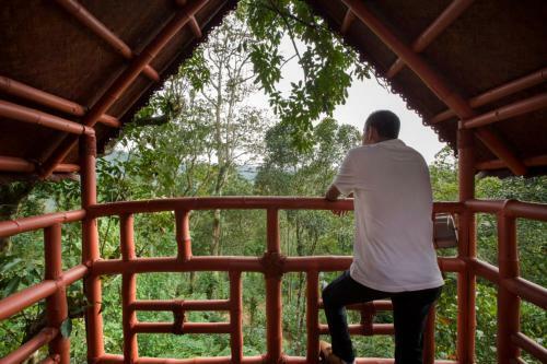 Hotel Bamboo Dale