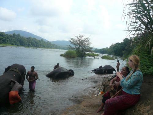 Cris Home Stay Cochin