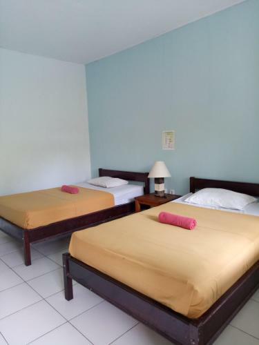 Medori Putih Homestay