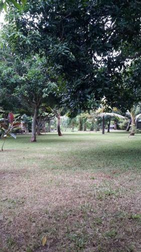 Medori Putih Homestay