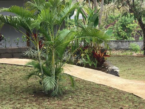 Hostal 3d Homestay