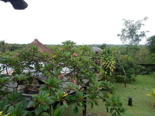 Hostal 3d Homestay