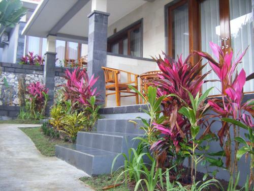 Hostal 3d Homestay