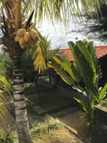 Hostal 3d Homestay