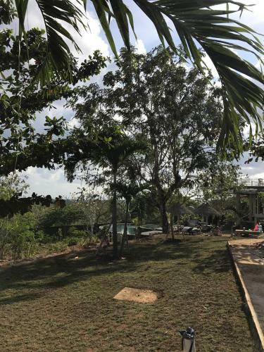 Hostal 3d Homestay