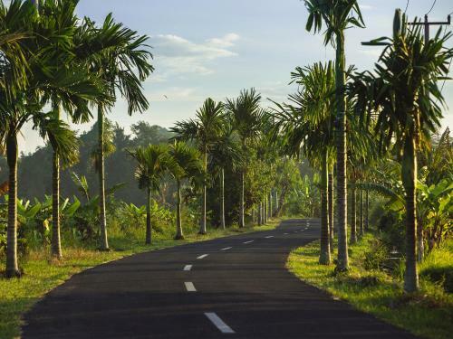 Villa Semarapura - An Elite Haven