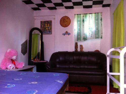 Hostal Robert Inn Dambulla