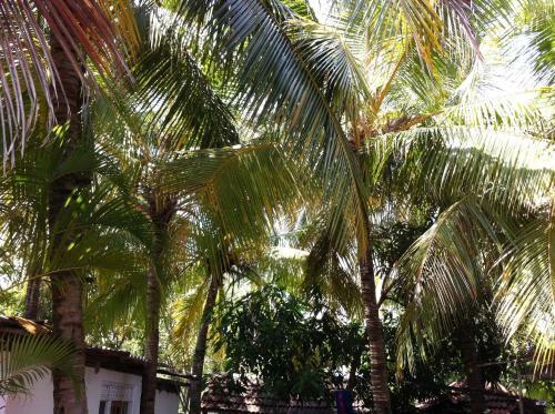 Hostal Robert Inn Dambulla