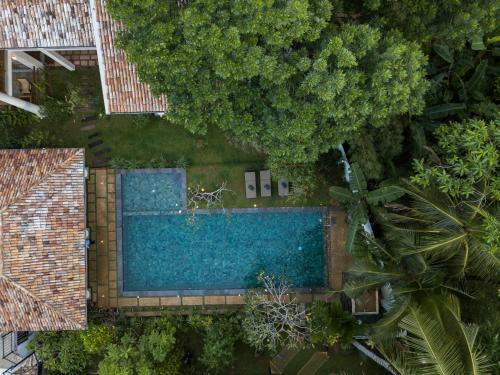 Bilin Tree House
