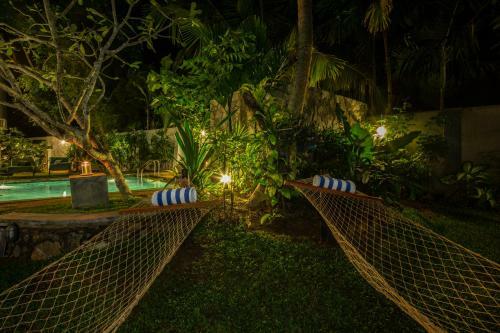 Bilin Tree House