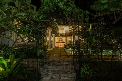 Bilin Tree House
