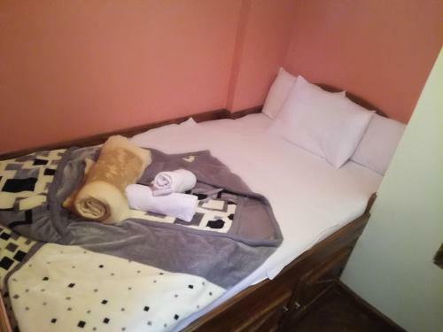 Hostal Guest House Sincere Wilderness