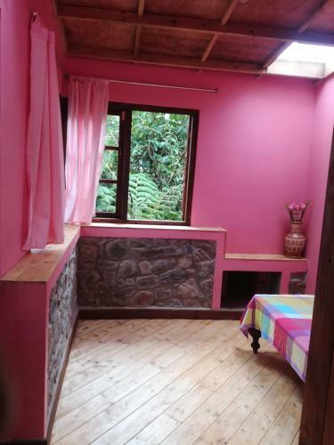Hostal Guest House Sincere Wilderness
