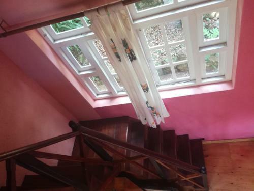 Hostal Guest House Sincere Wilderness