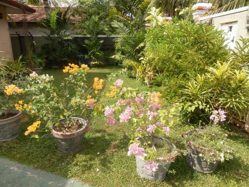 Waja Bed & Breakfast