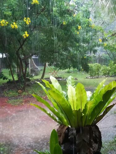 Grand Traverse Homestay