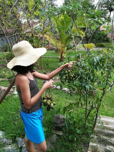 Grand Traverse Homestay
