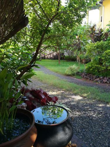 Grand Traverse Homestay